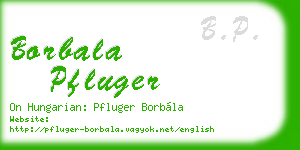 borbala pfluger business card