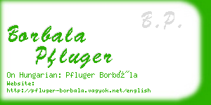 borbala pfluger business card